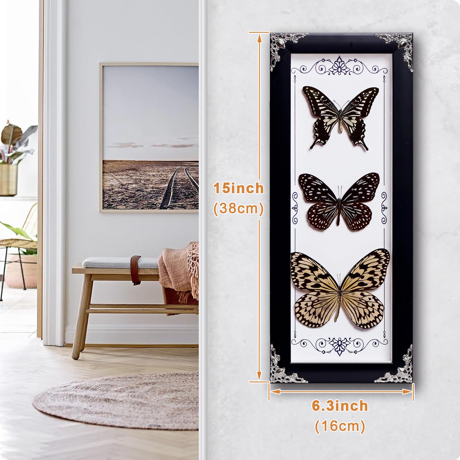3 mariposas reales enmarcadas, decoración gótica de 15.2 x 6.5 pulgadas, caja de sombra de mariposa de taxidermia para decoración del hogar de brujas