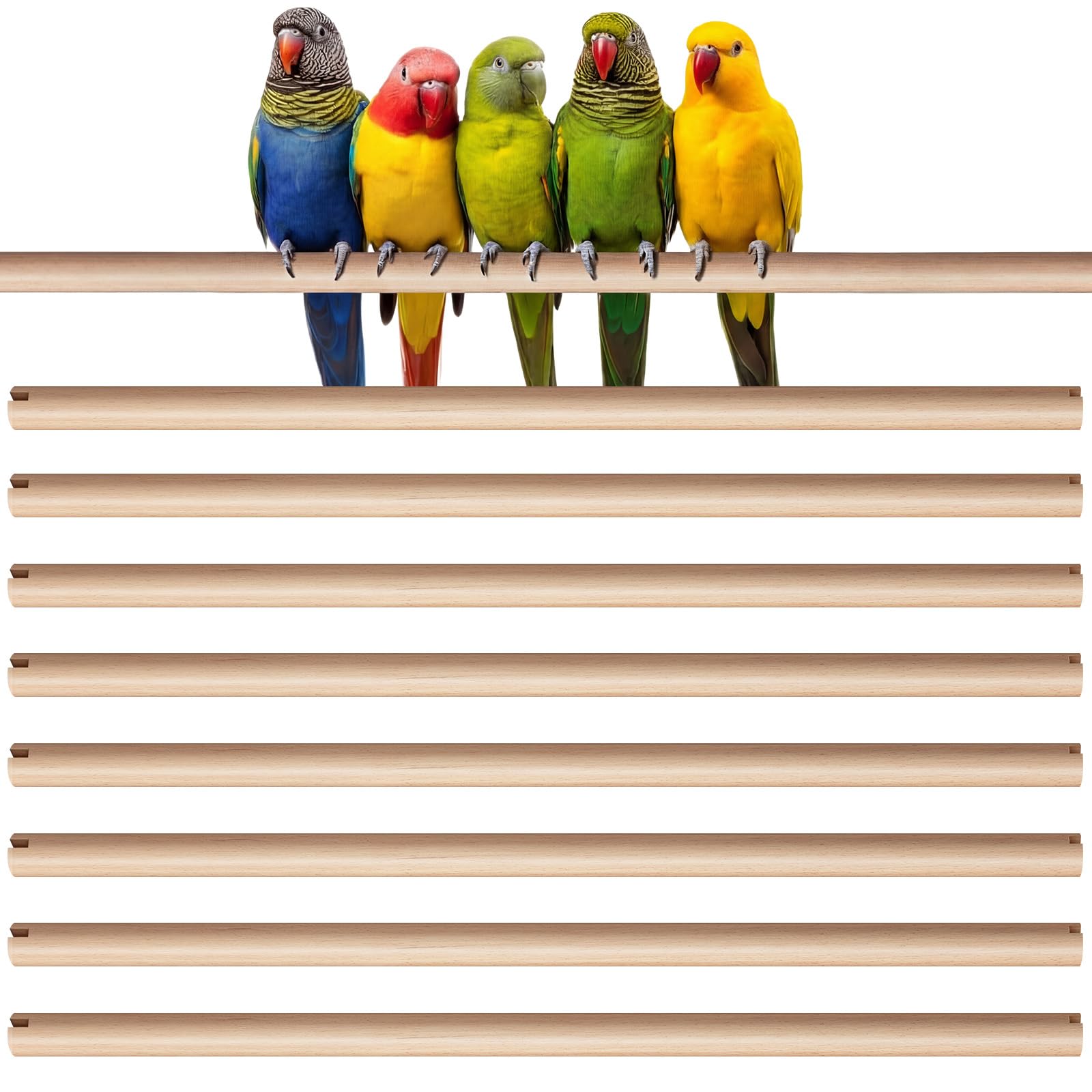 Sintuff Lot de 8 perchoirs à oiseaux pour accessoires de cage, tiges de rechange en bois avec double fente pour tête, support en bois naturel de 1,5 cm de diamètre pour perroquet, ara, cacatoès