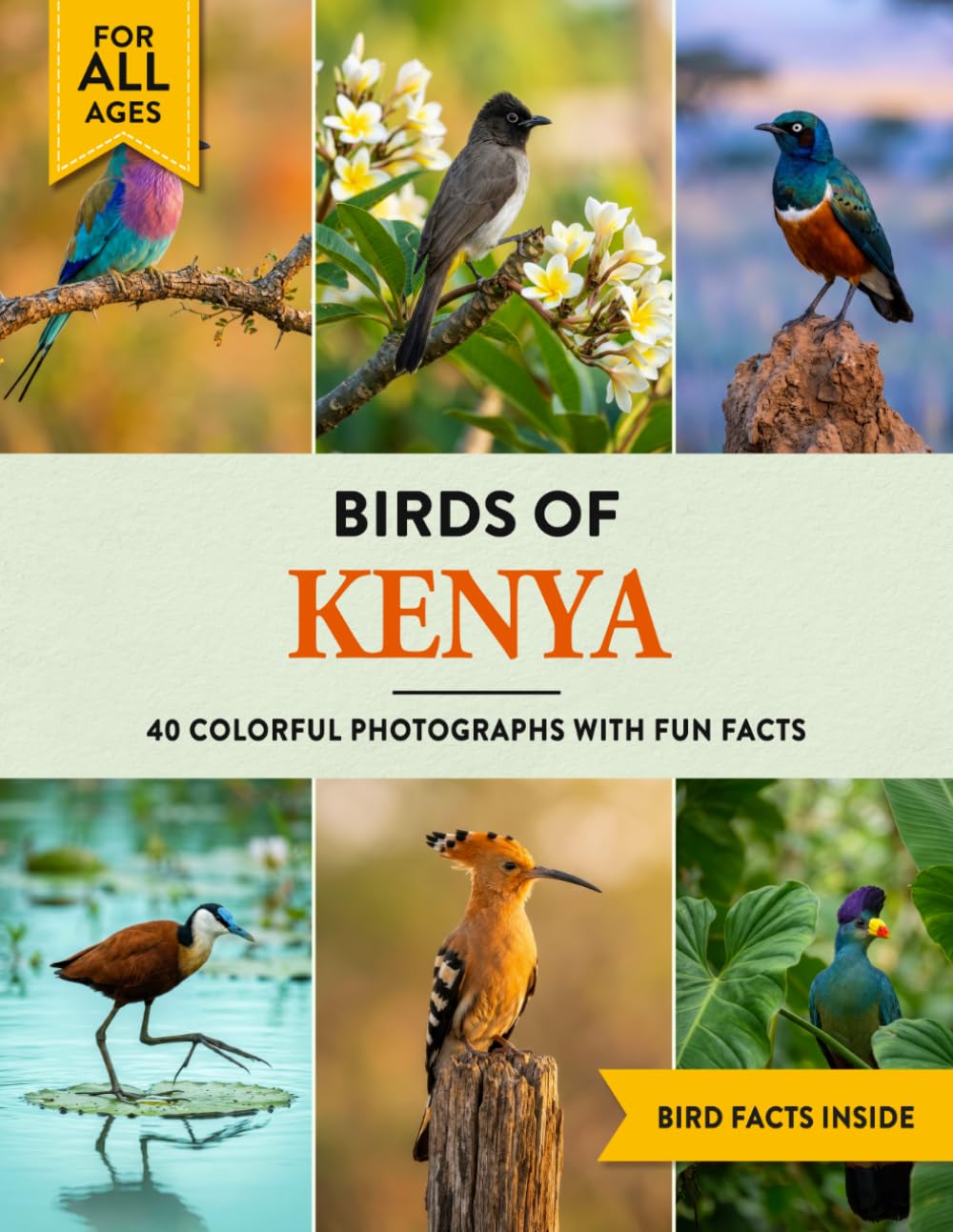 Birds of Kenya: A Birdwatching Picture Book with Fun Facts and Photography for Kids, Adults & Birders