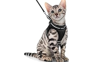 rabbitgoo Cat Harness and Leash Set for Walking Escape Proof, Adjustable Soft...