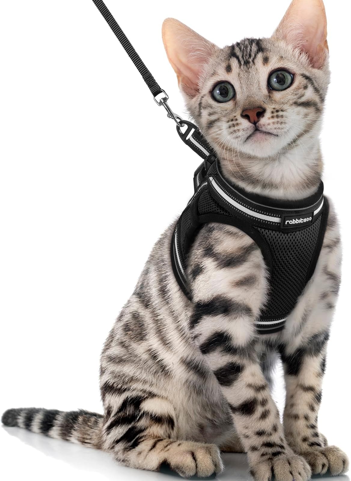 Pet Supplies Supet Cat Harness and Leash for Walking Escape Proof