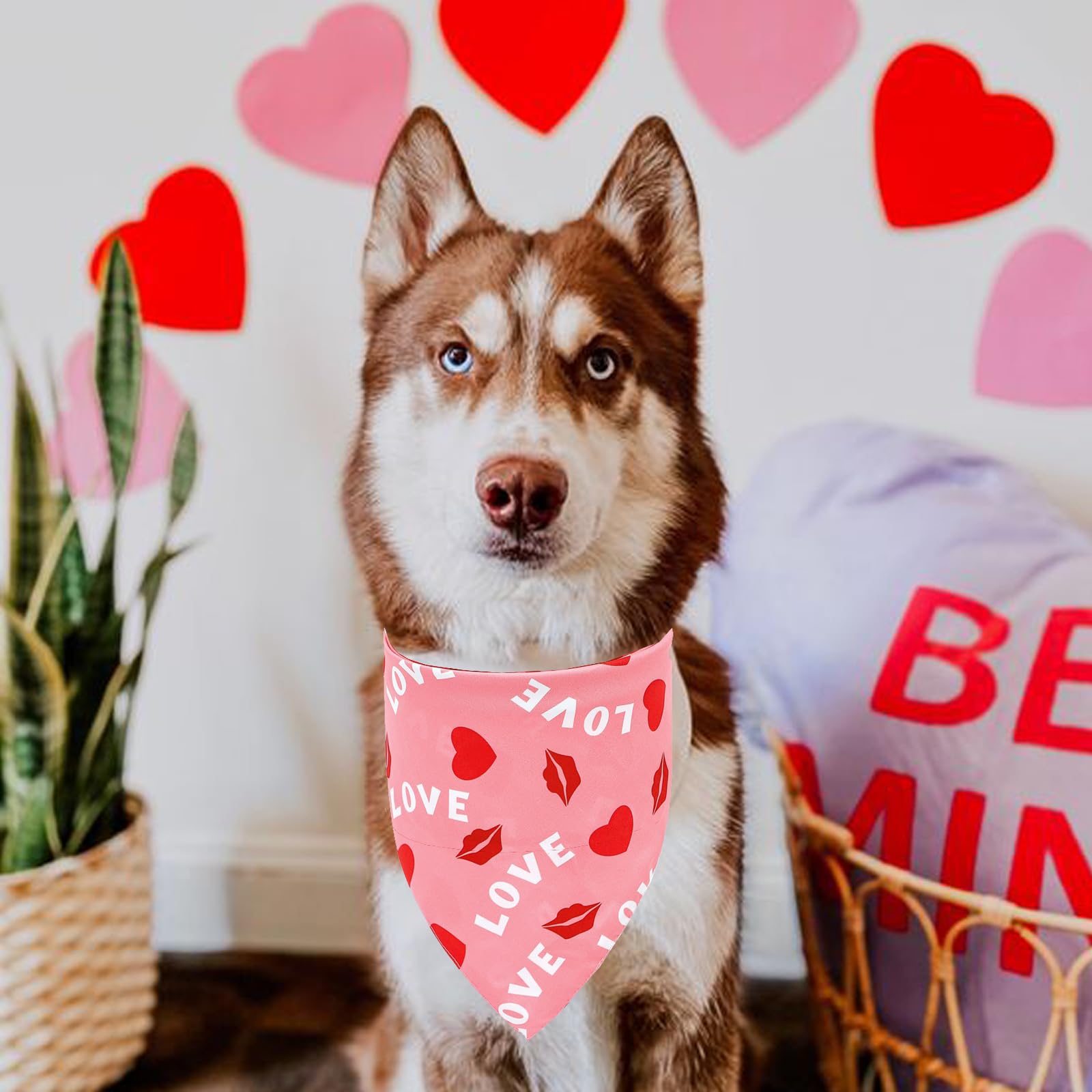 Valentine's Day Dog Bandanas, LMSHOWOWO 2 Pack Double Layer Reversible Triangle Valentines Day Dog Bandana, Love Valentine's Day Dog Scarf Pet Bandana for Medium Large Dogs?Large, Valentine's Day?