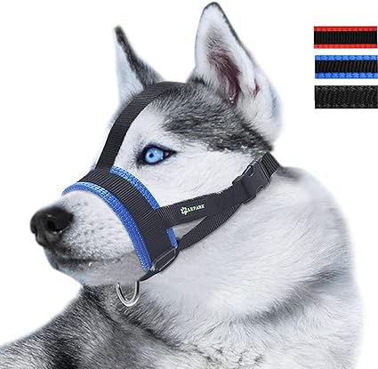 small dog muzzle