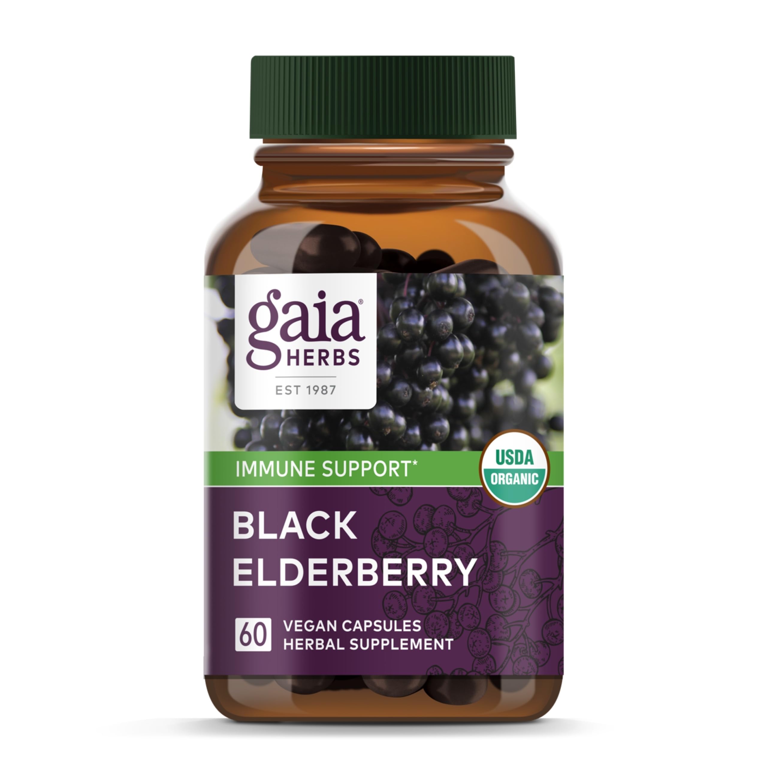 Gaia Herbs Black Elderberry - Daily Immune Support Supplement to Help Maintain Well-Being - with Black Elderberries and Acerola Fruit for Antioxidant Support - 60 Vegan Capsules (30-Day Supply)