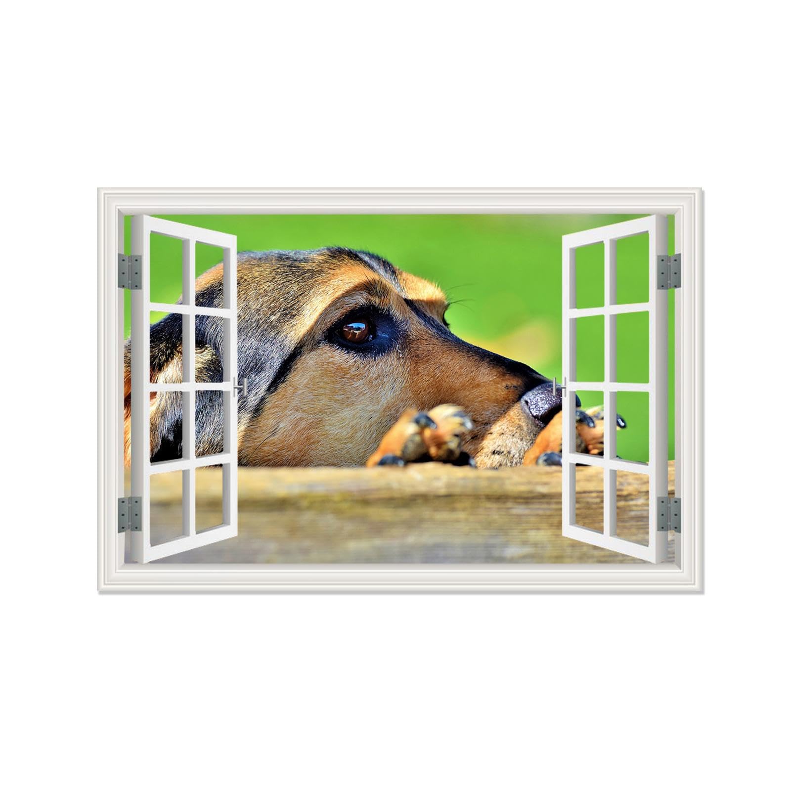 Open Window Animal Poster MOBYAT 3D Fake Window Animal,Cat Animal