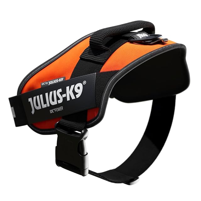 Foto 4 de 7 de Julius-K9, Arnés IDC Power, Tamaño: L / 1, Naranja UV