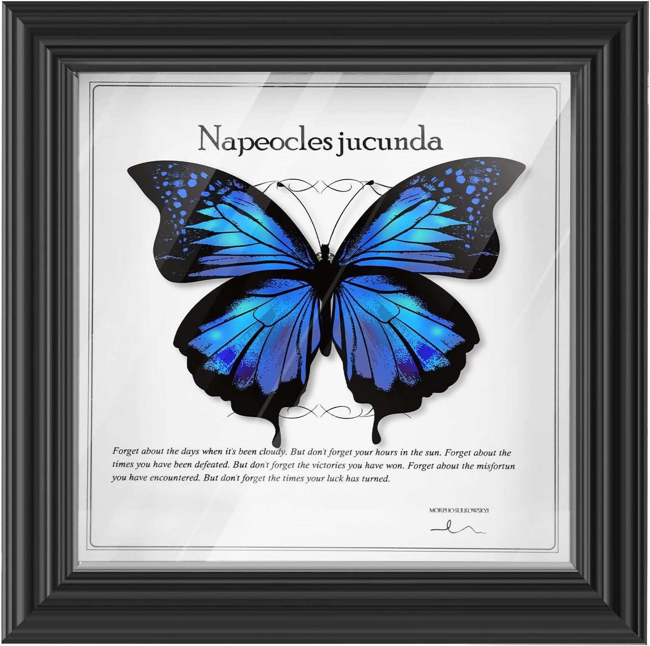 6x6 Small Shadow Box Frame with Glass, 0.7 Inch Depth