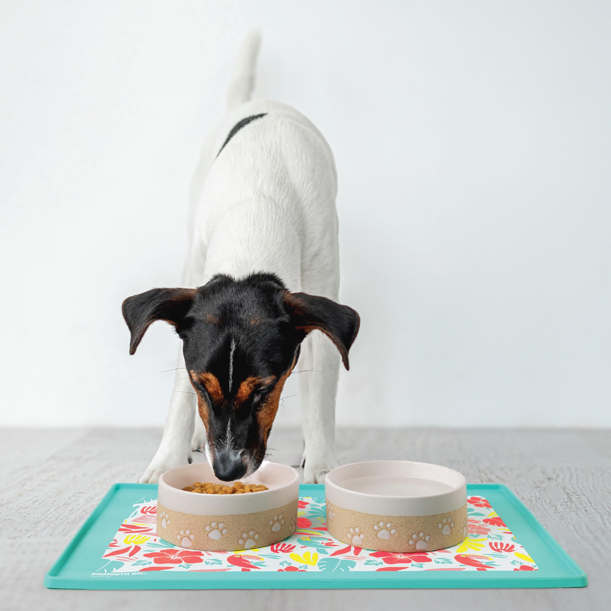 BigMouth Inc - Tovaglietta per animali domestici, tappetino per cibo e acqua, tovagliette e accessori per animali domestici essenziali per cuccioli - Tropicale