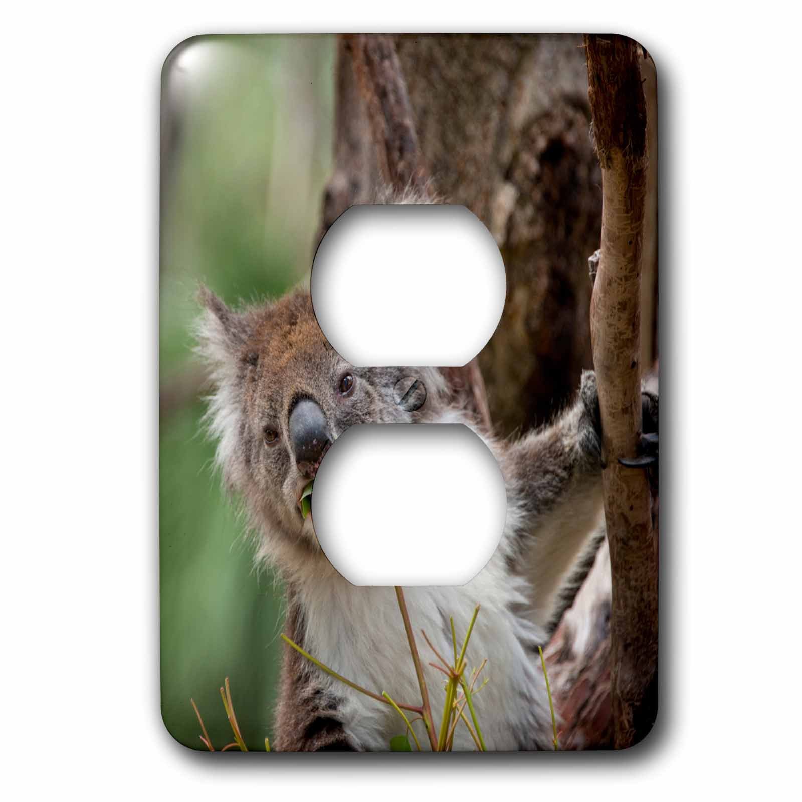 Australie motif koala cache double prise pour embellir vos murs ternes