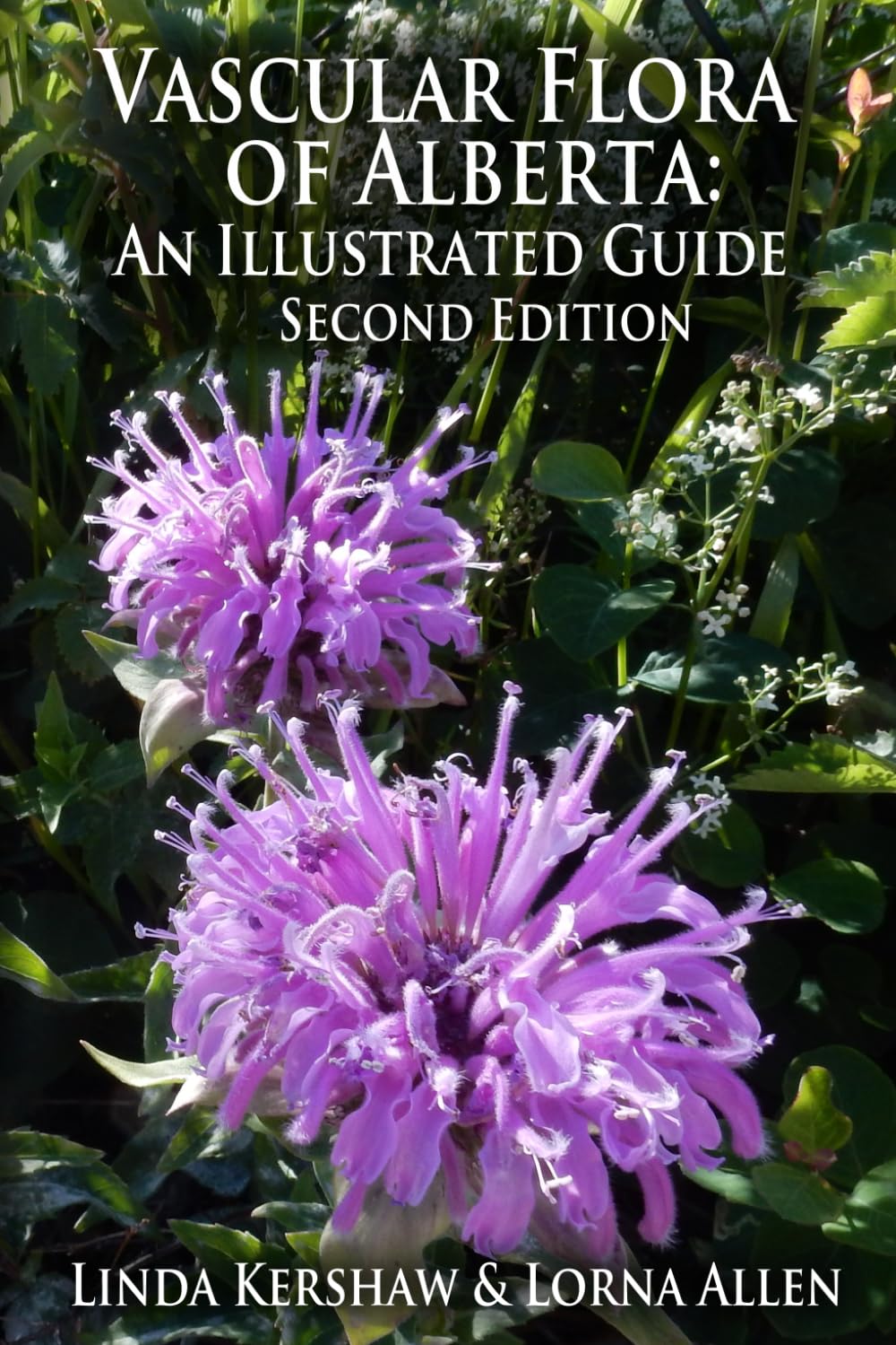 Vascular Flora of Alberta: An Illustrated Guide, Second Edition