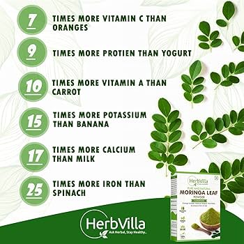 moringa leaf benefits () moringa leaf benefits