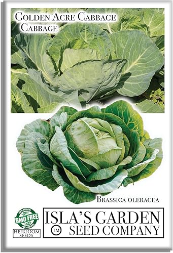 Semillas de repollo Golden Acre para plantar, más de 500 semillas reliquias por paquete, semillas de jardín (Isla's Garden Seeds), semillas sin OMG,