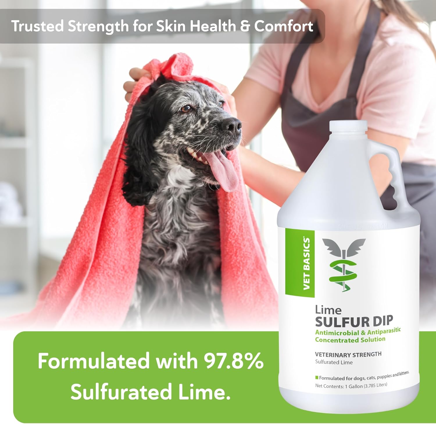 Vet Basics Lime Sulfur Dip – Skin Itch Relief Concentrated Antimicrobial & Antiparasitic Solution for Dogs, Cats, Puppies, Kittens & Horses, Helps Manage Ringworm, Mange, Skin Irritation, 1 Gallon