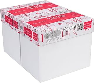 Basic Druckerpapier DIN A4 – 5.000 Blatt (2 x 5 x 500 Blatt) – Weißes Universal Office Paper Kopierpapier - CIE Weiße 160 – Ideal für Büro und Heim (2 Kartons | 5.000 Blatt)