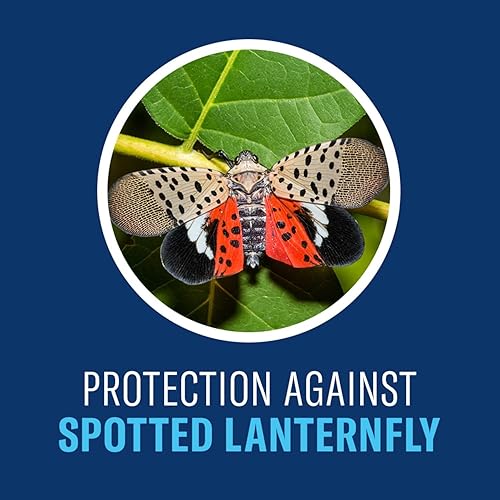 Miniatura 5 de BioAdvanced Asesino de insectos para árboles y arbustos, listo para usar, 32 onzas
