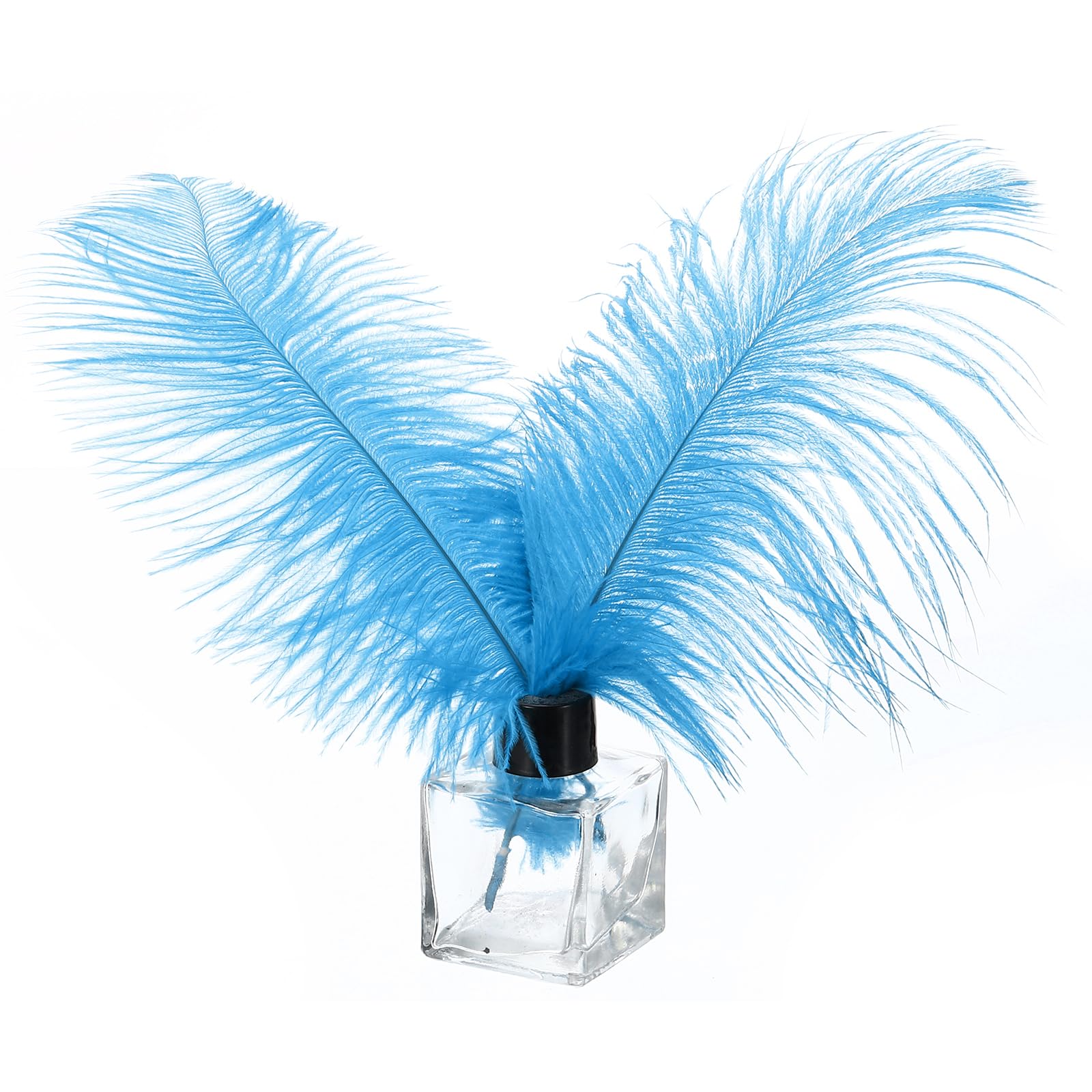 PATIKIL 30 Pz Piume Struzzo Naturali Ingrosso 8-10 Pollici/ 20-25 cm Grandi Piume Struzzo per Artigianato Decorazione Casa Matrimonio Festa Decorazione Vaso (Azzurro Chiaro)