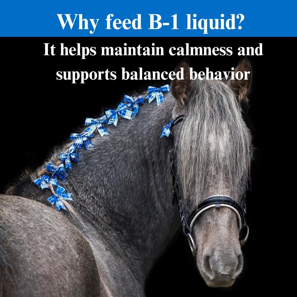SU-PER B-1 Horse Calming Supplement - Equine Vitamin B-1 Support Horse Calmer Liquid - Appetite Booster Supplement for Horses - 1 Gallon, 4 Month Supply