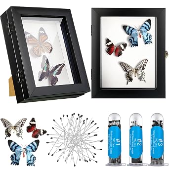 2 Pcs Insect Display Case Collection Shadow Boxes With Clear Top EVA Foam Pinning Board and 300 Pcs 3 Sizes Pins - Butterfly Box Kit for Specimen, 7.87 x 6.3 x 2.05 Inch Black