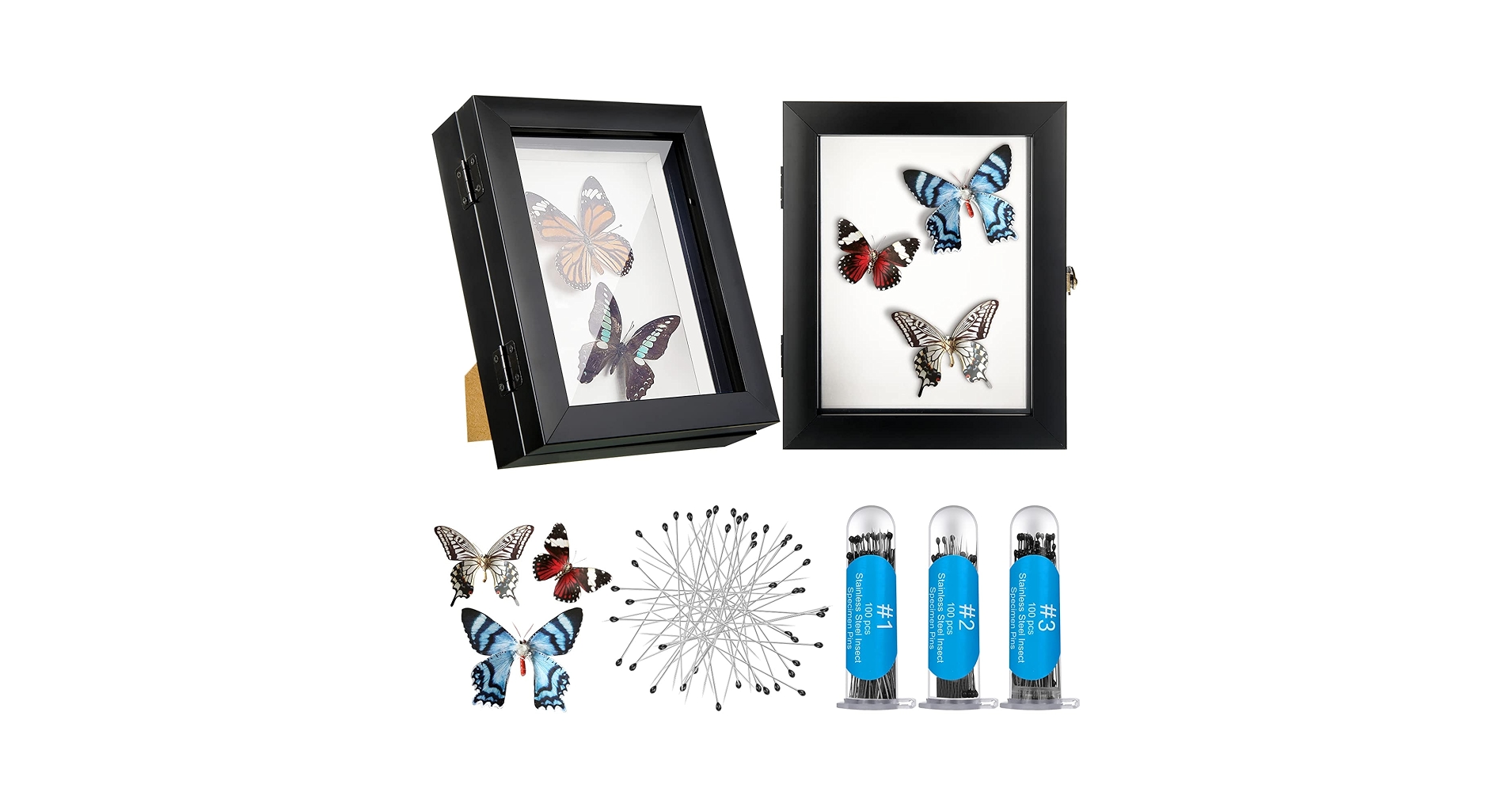 3 Pcs Insect Display Case Wall Ount Clear Bug Display Case Collection