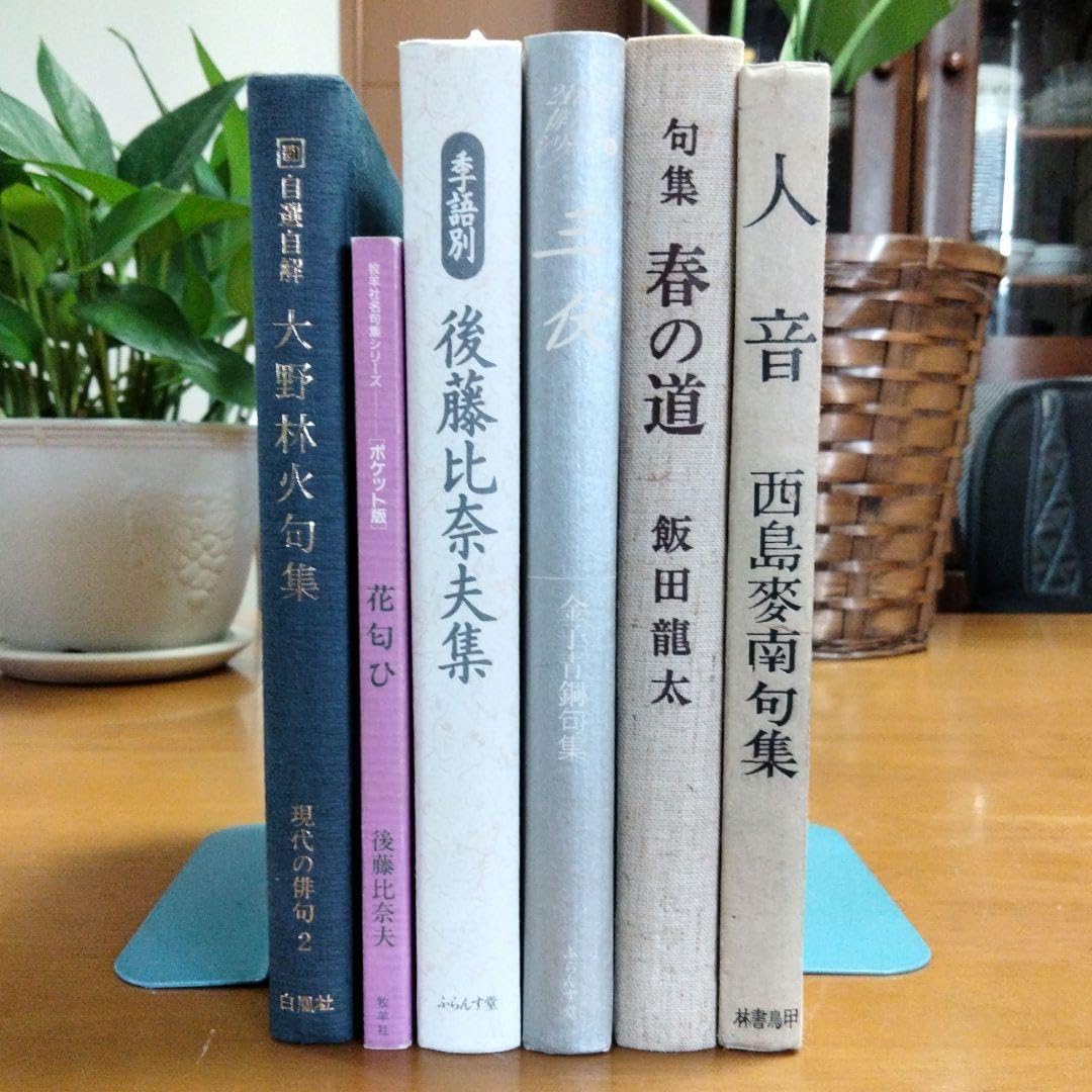 掛軸 茶掛 雪尾要道和尚筆【清流】自筆 画讃 大徳寺 住職 掛軸 【古筆