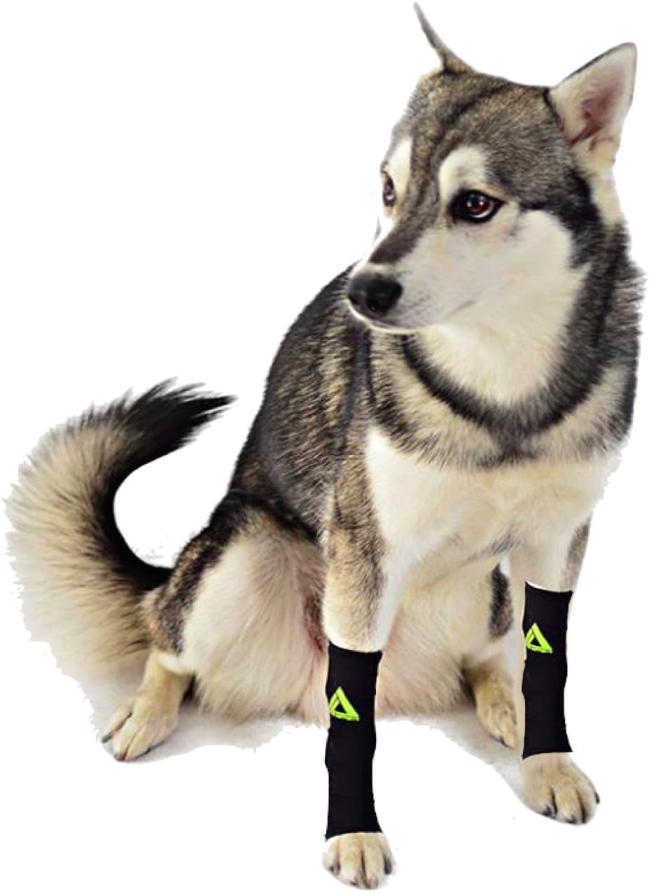 (PAIR) 2 x DOG Canine Pet Compression Wear Sleeve Foreleg Hind Leg By MyProSupports (Black, X-Large)