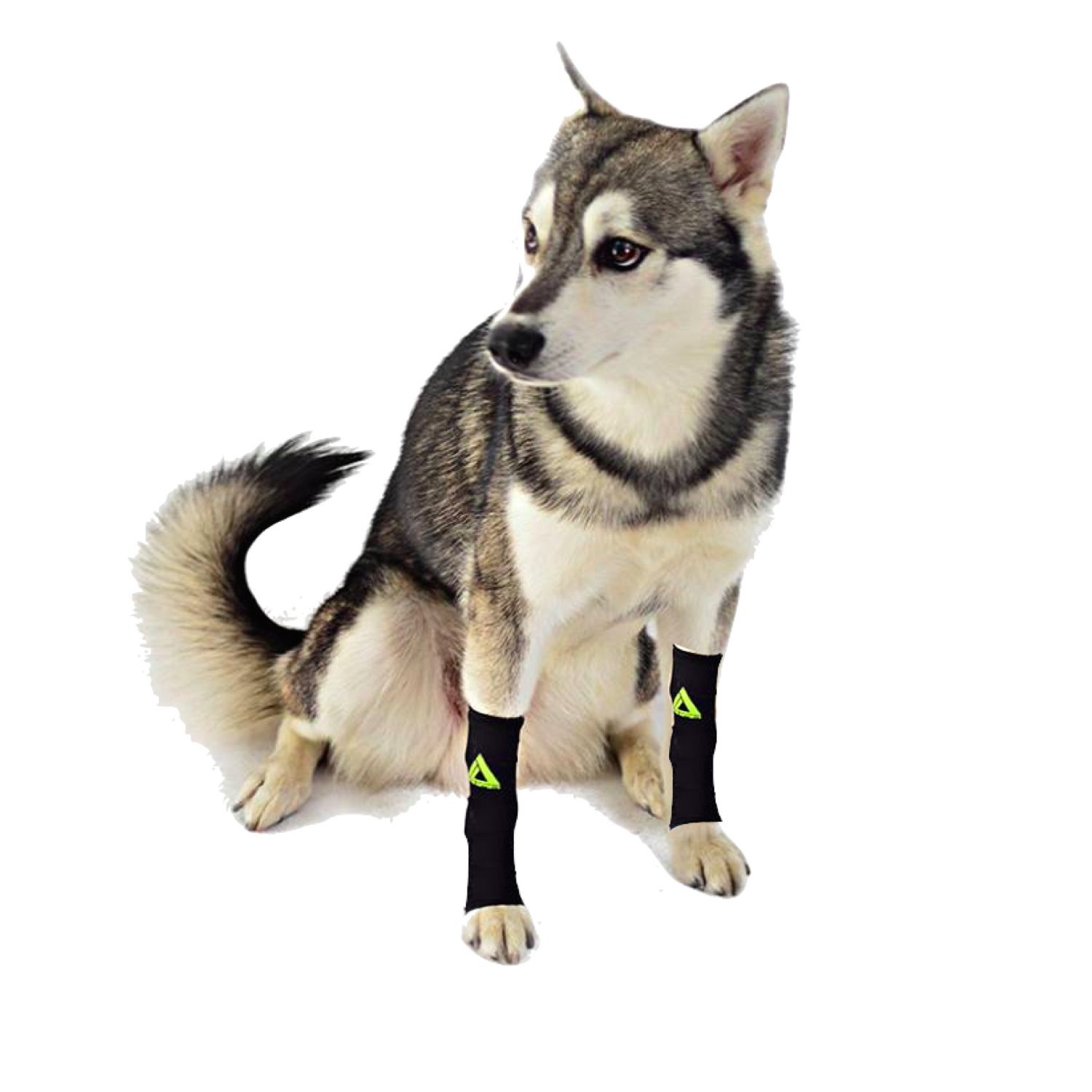 (PAIR) 2 x DOG Canine Pet Compression Wear Sleeve Foreleg Hind Leg By MyProSupports (Black, X-Large)