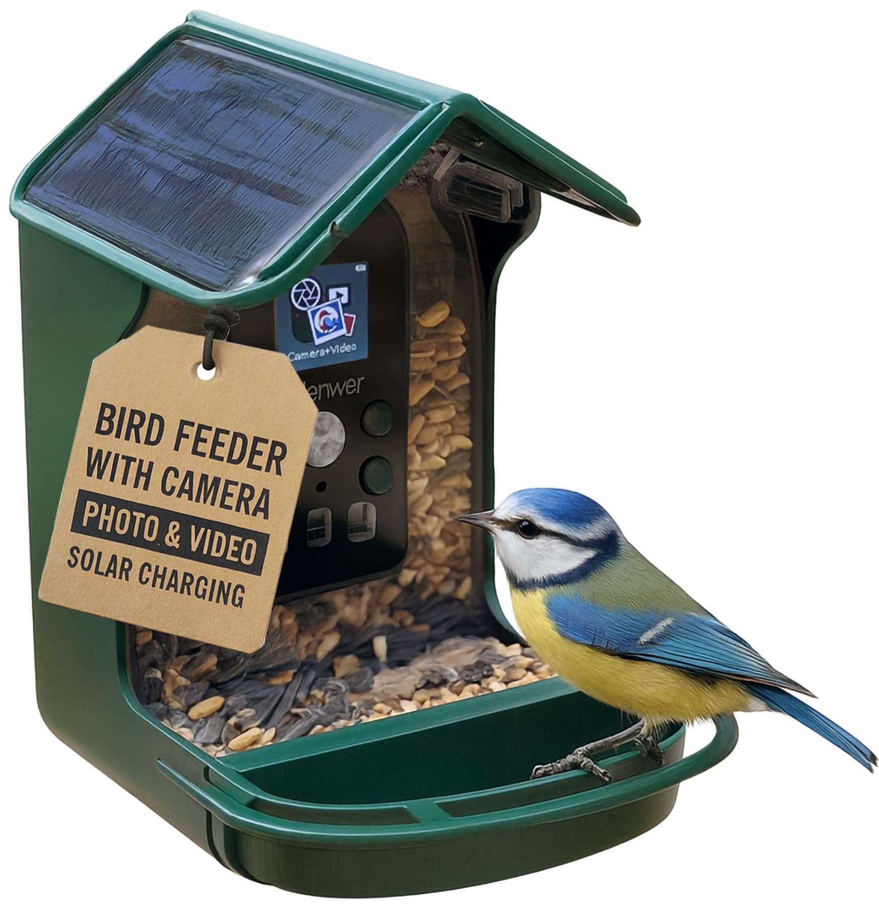 Caméra solaire pour oiseaux extérieure avec enregistrement vidéo nocturne discret