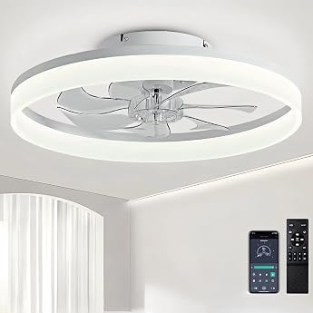 50 cm Ceiling Fan with Lighting 48 W 220 V Dimmable Ceiling Light with Remote Control and App 6 Speeds Lamp with Fan Timer Bedroom Living Room Black [Energy Class G]