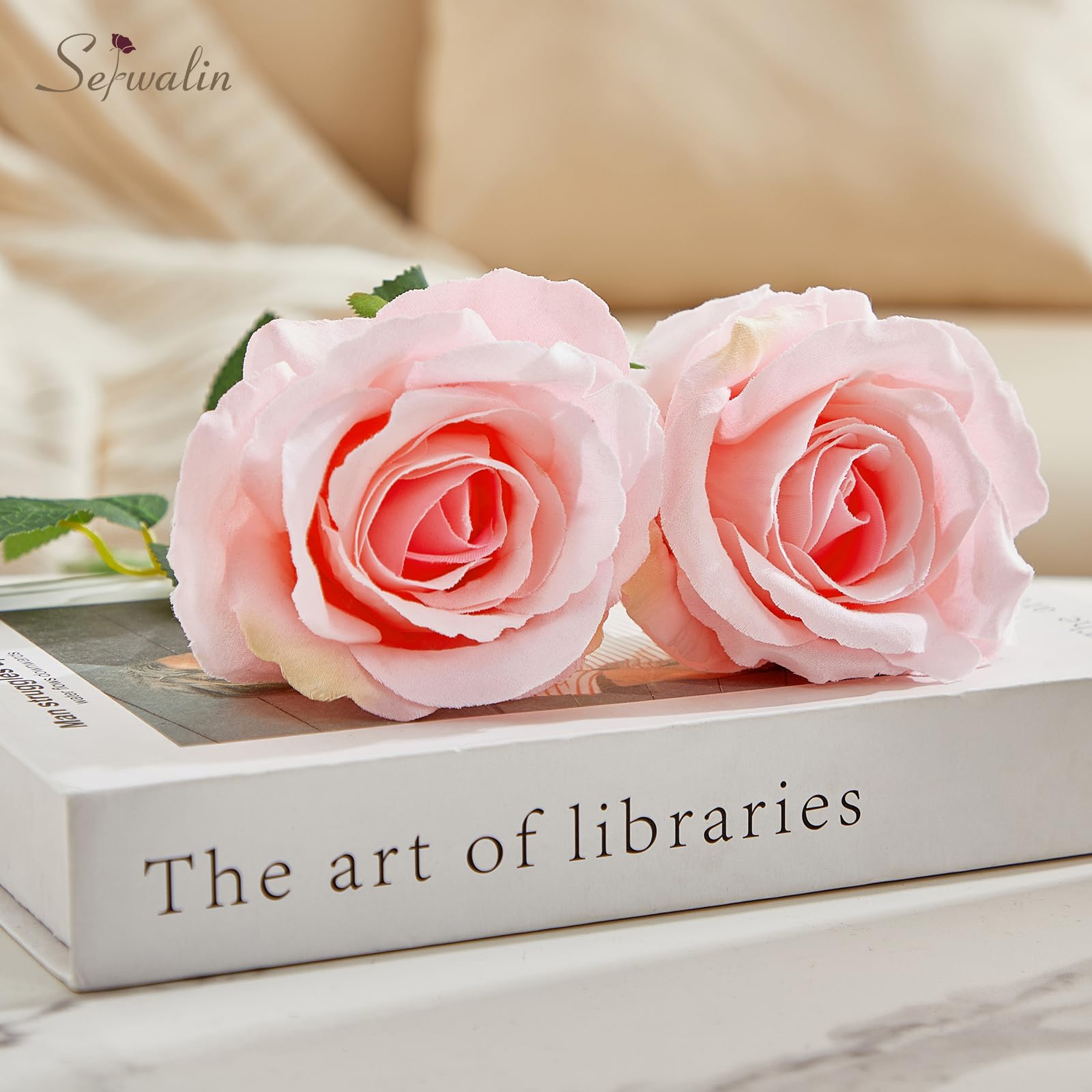 https://m.media-amazon.com/images/I/71SAY18CijL.jpg
