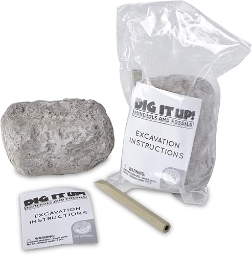 Miniatura 6 de MindWare Dig It Up!