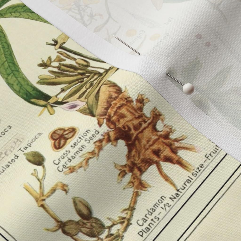 Spoonflower Fabric - Herb, Botanical, Spices, Green, Brown, Ecru, Food, Illustration, Printed on Petal Signature Cotton Fabric Fat Quarter - Sewing Quilting Apparel Crafts Decor