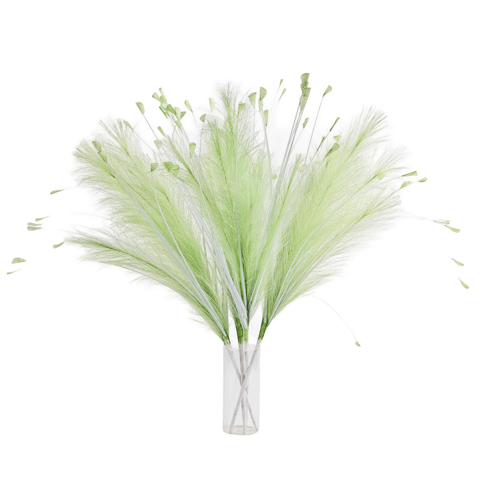 Herbes de la pampa artificielles vertes sans perte de plumes pour grand vase