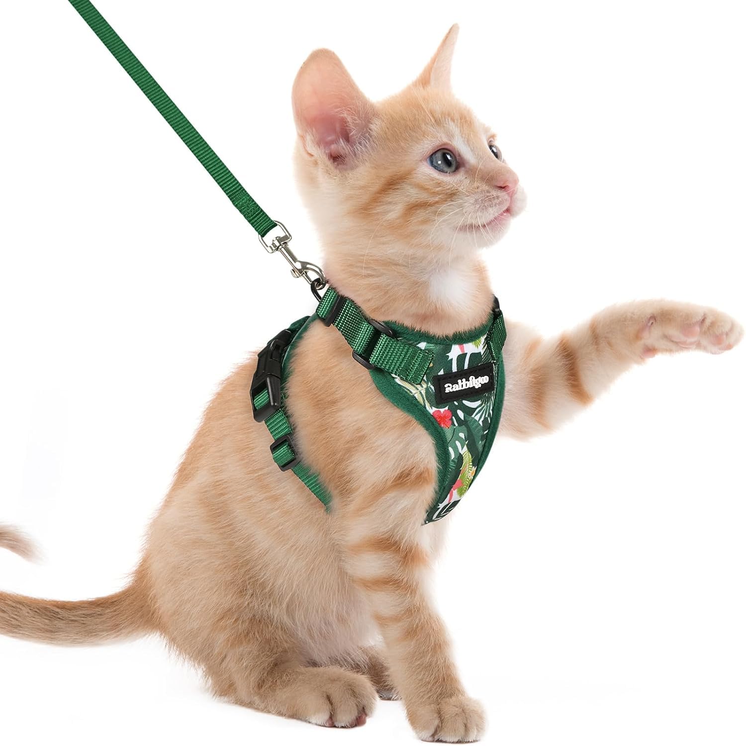 rabbitgoo Cat Harness and Leash Set, Escape Proof Vest, Rainforest Green