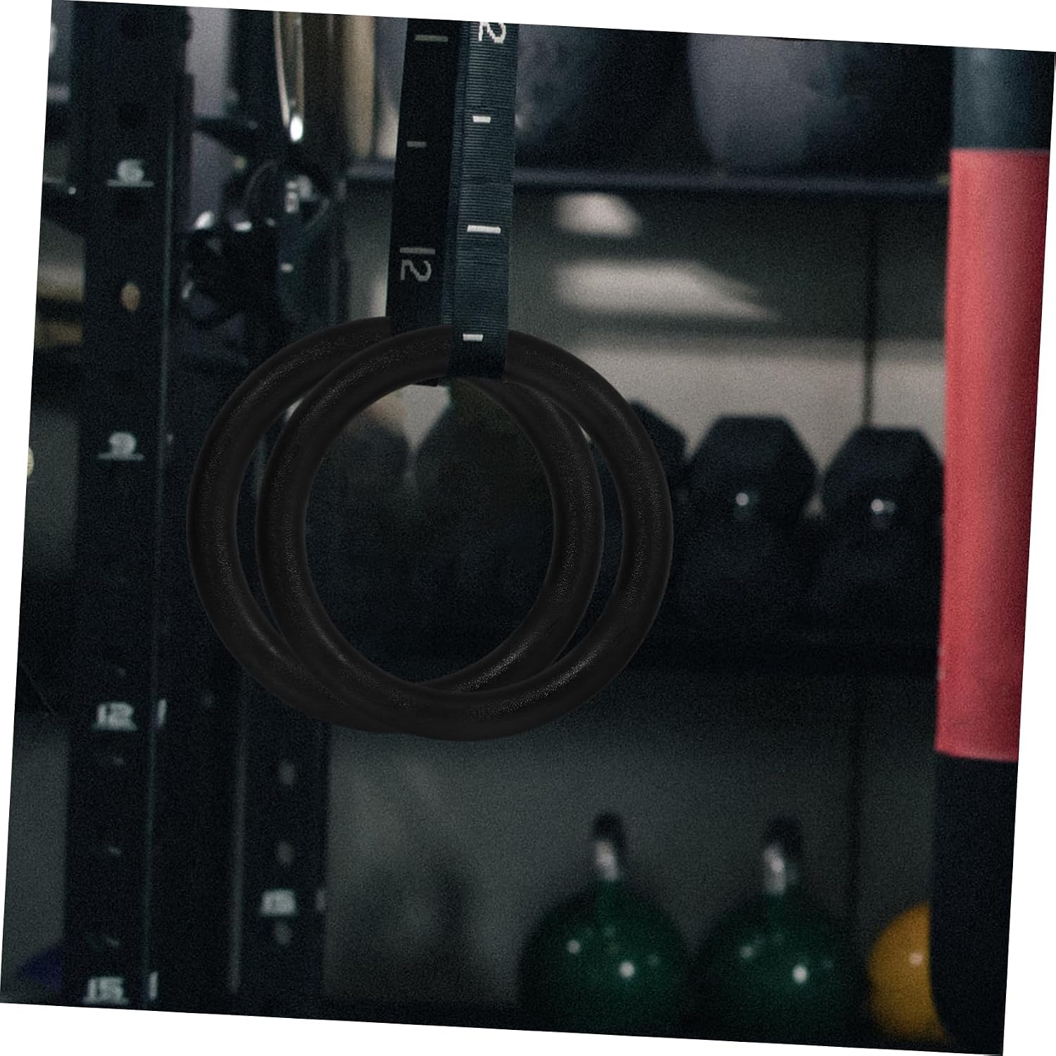 2Pcs Black Plastic Gymnastic Rings for Strength Training Exercise Rings for Full Body Workouts Dips More for Home Gym Cross Training