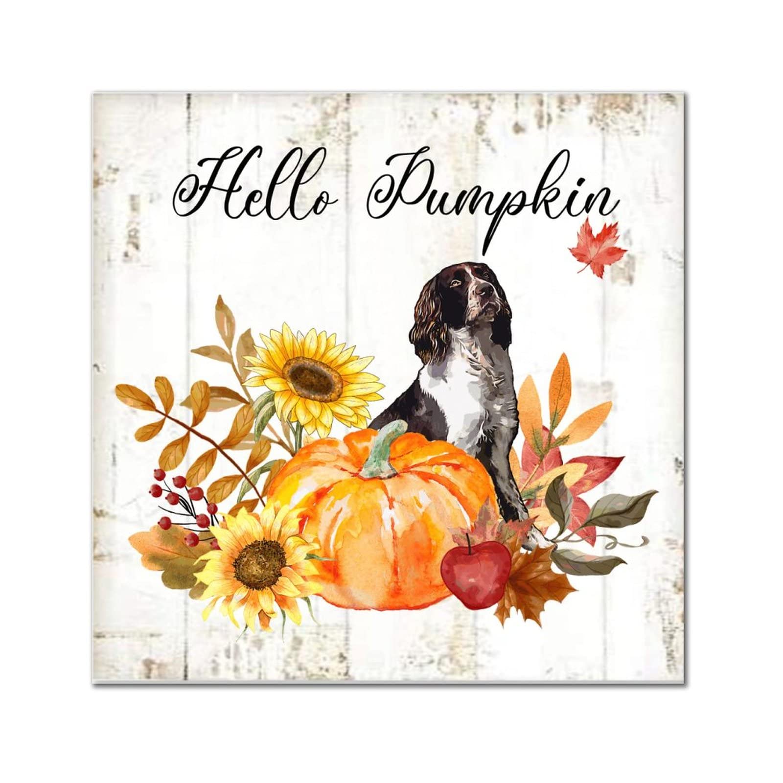 Plaque murale Hello Pumpkin Chowchow pour habiller un mur blanc vide avec du bois retro