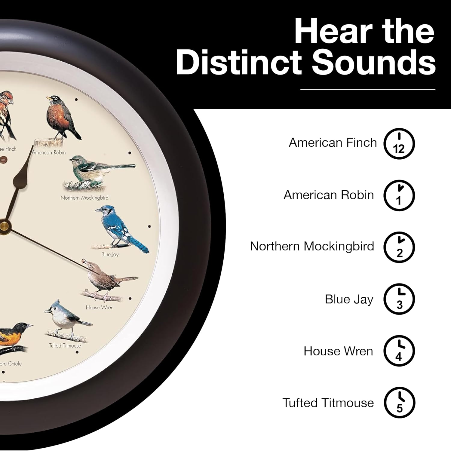 Mark Feldstein, The Original Singing Bird Wall Clock, 13 Inch, Black