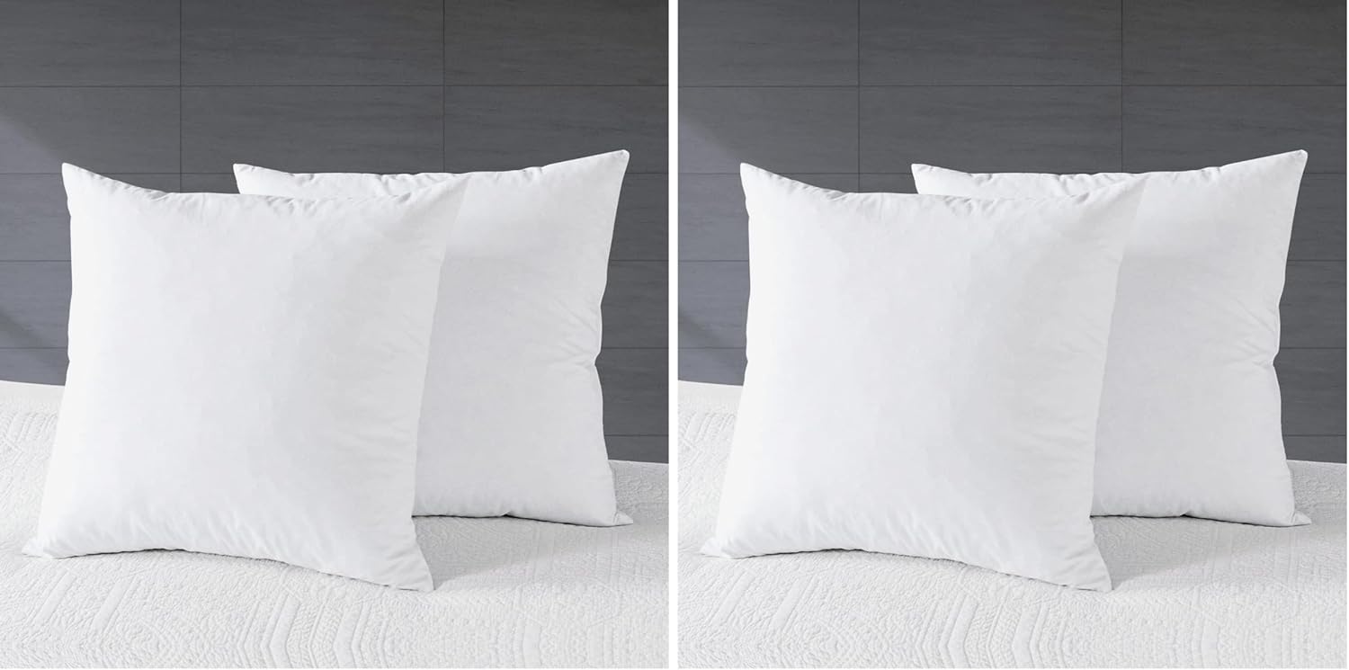 VISI-ONE Karin Maki Microfiber Throw Pillows Insert Set of 2 Decorative Fiber Filled Soft & Fluffy White Square Pillow for Sofa Bed and Couch - (22x22 Pillow) (Pack of 2)