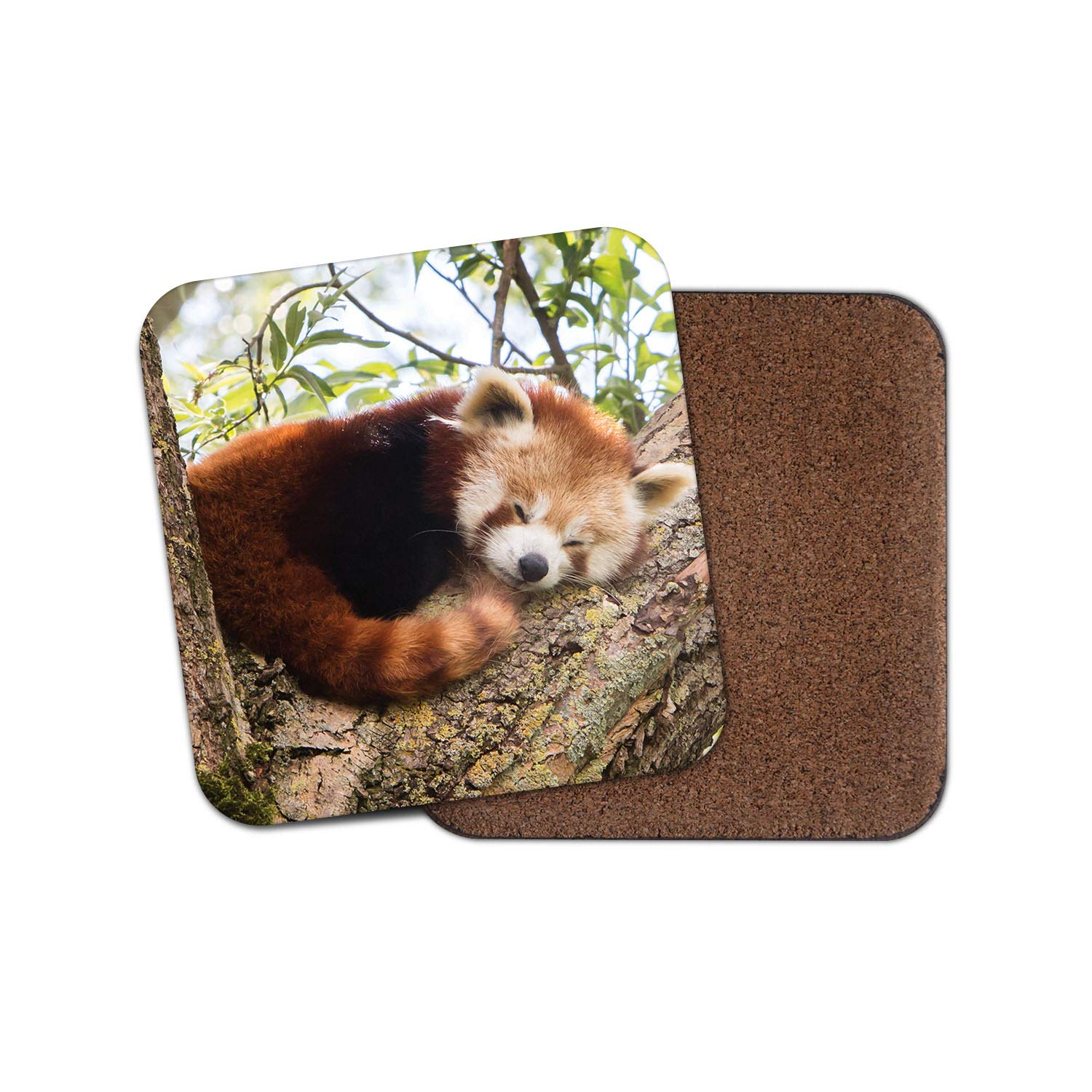 1 x Cute Lesser Red Panda Coaster - Tree Bear Mum Auntie Sister Fun #14217