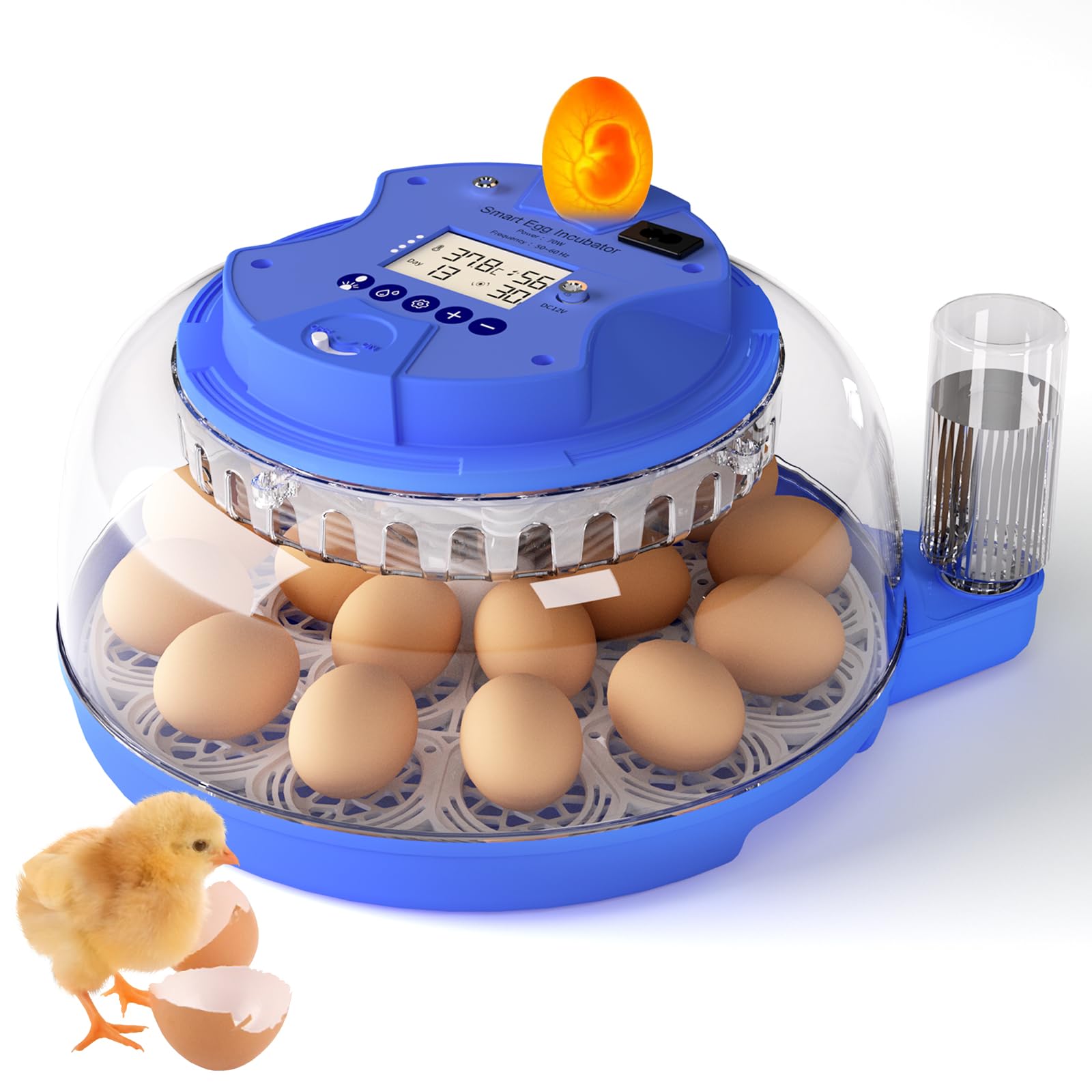 Couveuse Oeuf Automatique,Ambesty Incubateur 18 Oeuf de Poule avec Humidité+Rotation Automatique+Mire-œufs, Contrôle Numérique de la Température pour l'incubation des Poussin et Cailles