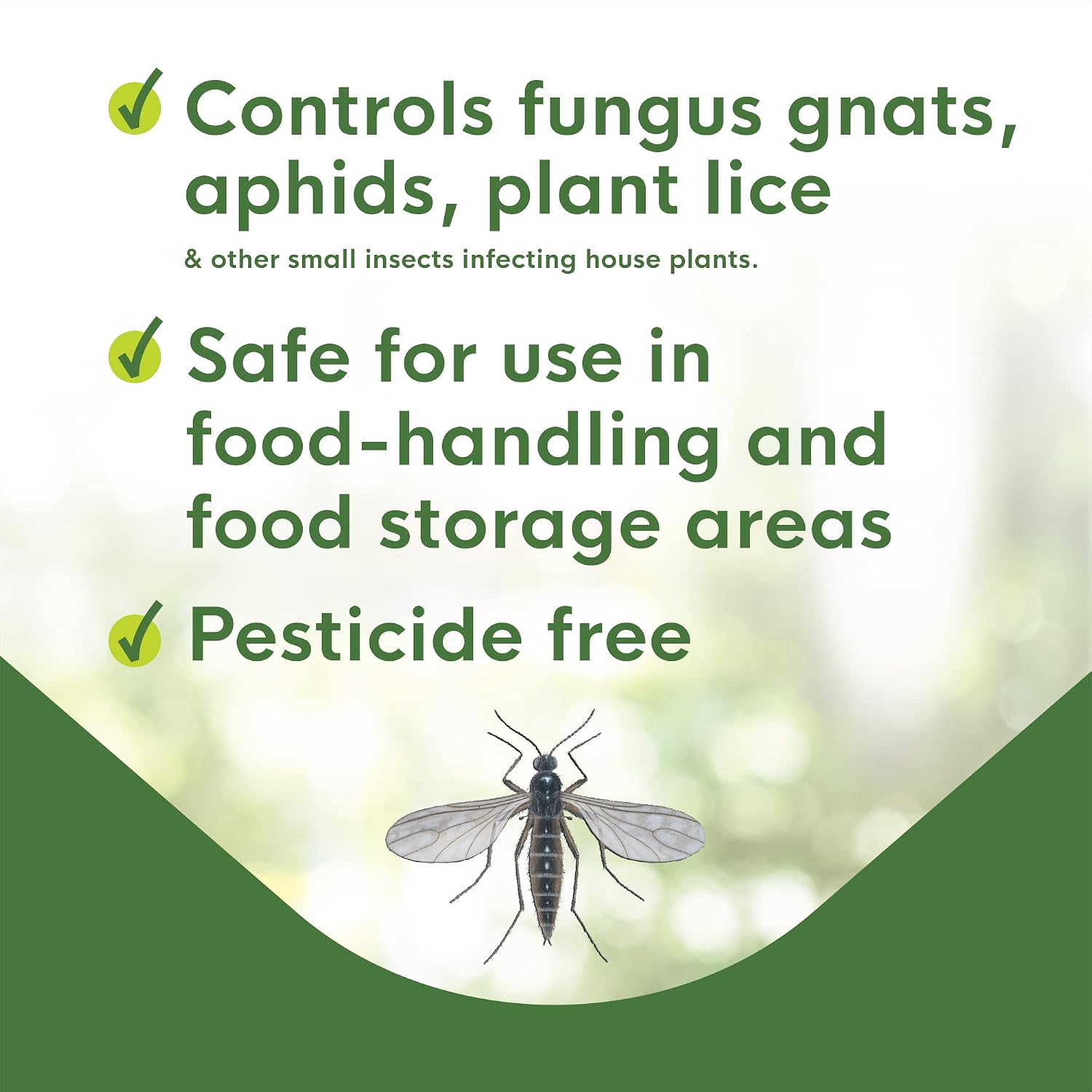Enoz BioCare Gnat Stix for Fungus Gnats and Aphids, Pest Control for Plants and Greenhouses, Safe & Effective, 12 Pack
