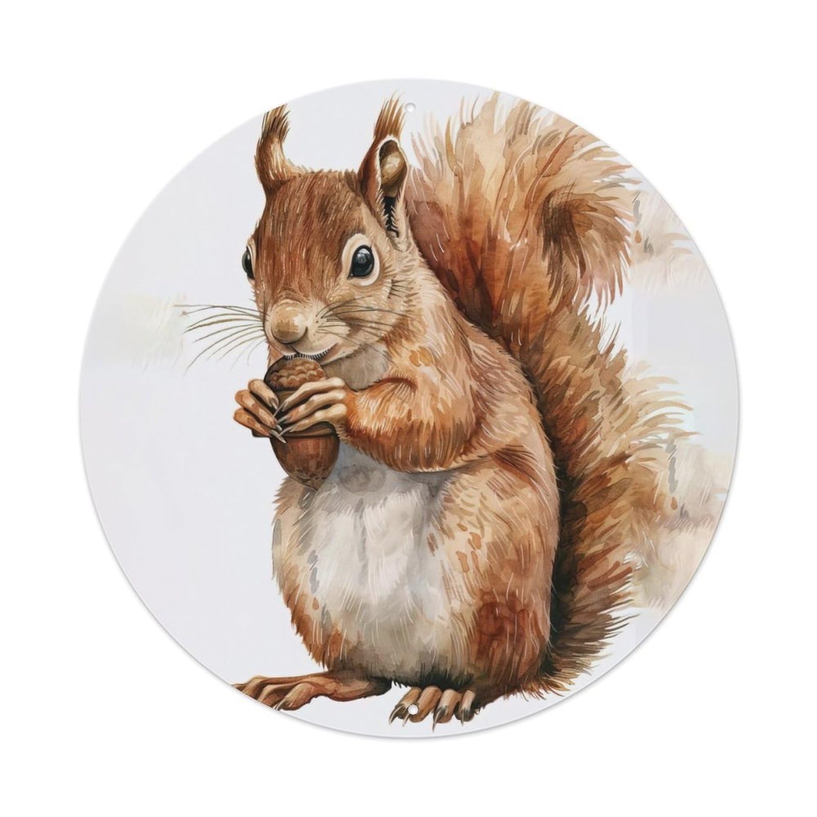 Animal Squirrel Eating Pine Cone Vintage Metal Tin Sign Plaque Wall Decor for Cafe, Club Bar, Office, Garden Metal Poster 8x8Inch