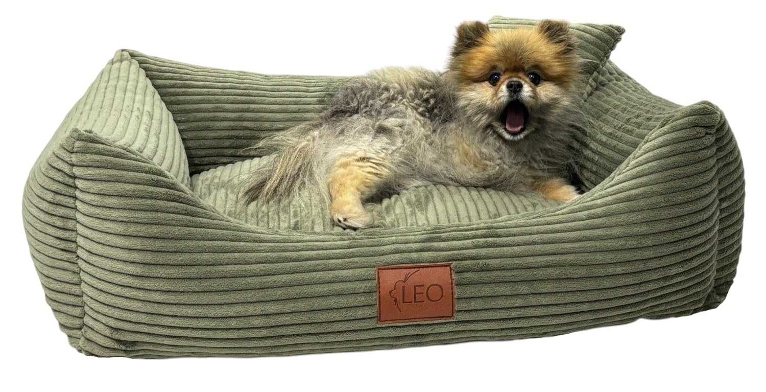 Hundebett Cord Waschbar Bezug Für kleine mittelgroße und große Hunde Hundekissen Hundesofa Hundekorb (Olive, L 100x80)