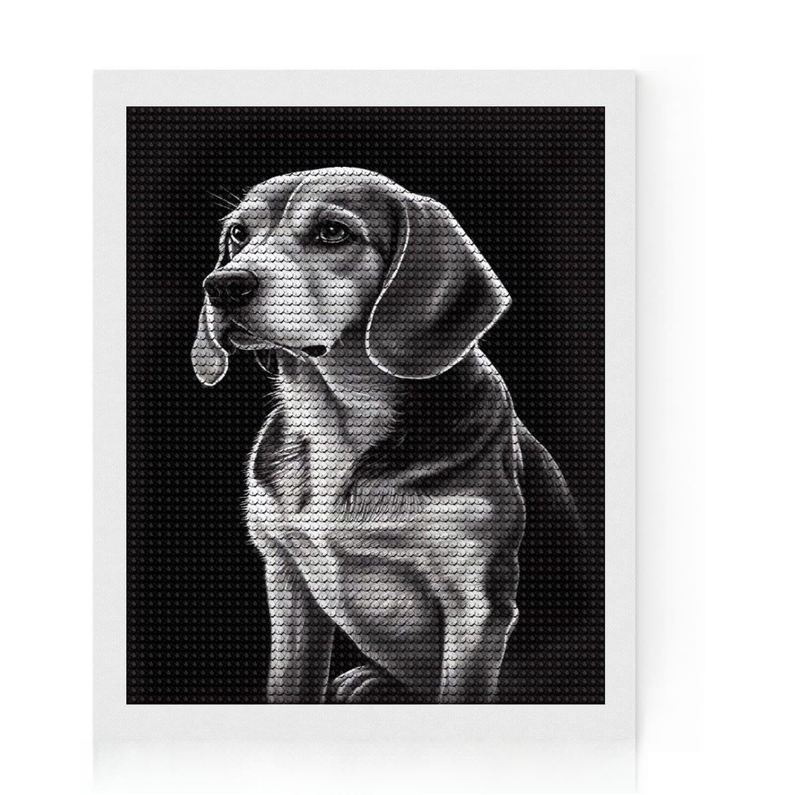 Junmoney Beagle Drawn Full Drill Diamond Painting Kit 16"x20", for Women, Mindful Craft Activity, Living Room Decor, Festive Craft Gift