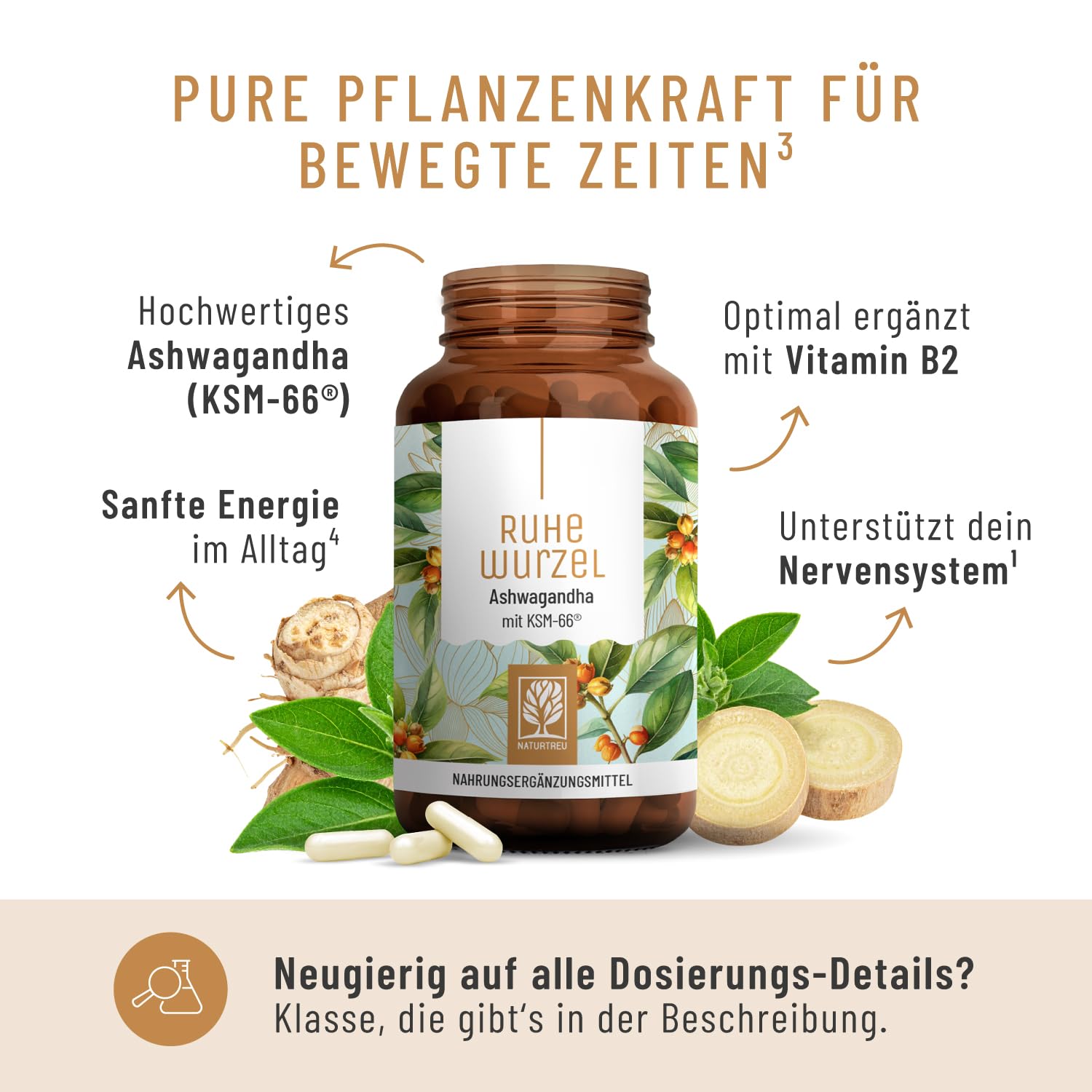 NATURTREU® Ashwagandha KSM-66® hochdosiert 120 Kapseln - 600 mg Ashwagandha pro Tag - Komplex aus Ashwagandha-Wurzelextrakt & Ashwagandhawurzelpulver - 5% Withanolid-Gehalt - Vegan