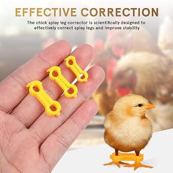 TOYANDONA Bird Leg Correction Device 12Pcs Baby Chick Splay Leg Stabilizer Bands for Newborn Poultry Support and Alignment Brace for Chickens Quails Ducks Parrots