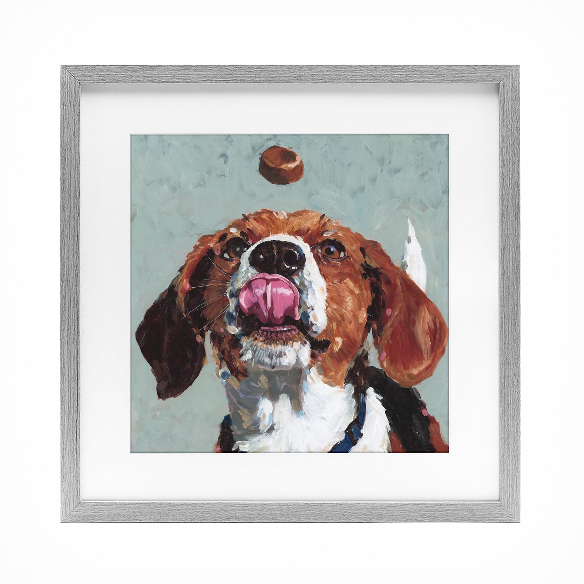 Playful Beagle Treat Portrait, 16 x 16 Inch Framed Print Under Glass