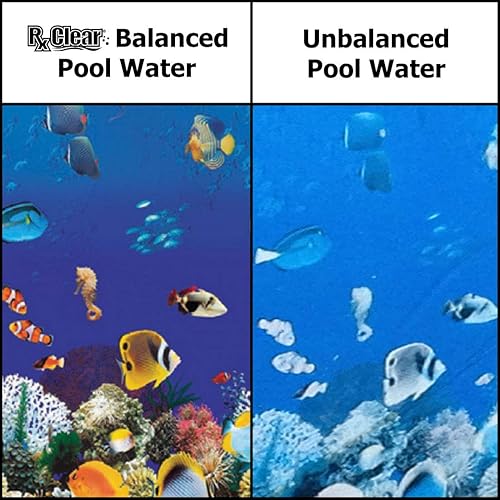 Miniatura 4 de Rx Clear 7% de algicida de cobre  Mata y previene las algas para piscinas en el suelo y sobre el suelo  Fórmula segura para nadadores  Botellas de