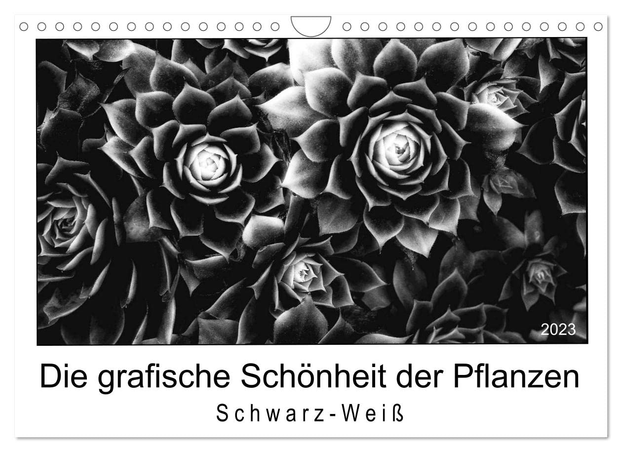 Die grafische Schönheit der Pflanzen – Schwarz-Weiß (Wandkalender 2023 DIN A4 quer): 13 eindrucksvolle Naturaufnahmen in Schwarzweiß (Monatskalender, 14 Seiten) (CALVENDO Orte)