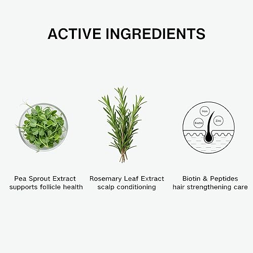 Miniatura 5 de Suero enrollable voluminizador para el crecimiento del cabello para hombres y mujeres  3% de romero, brote de guisante, moringa  Aplicador de cuero