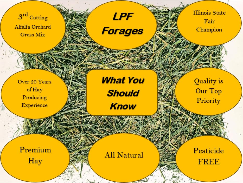 English Creek Supply Best Blend Western Timothy Grass (10 Lb Box)